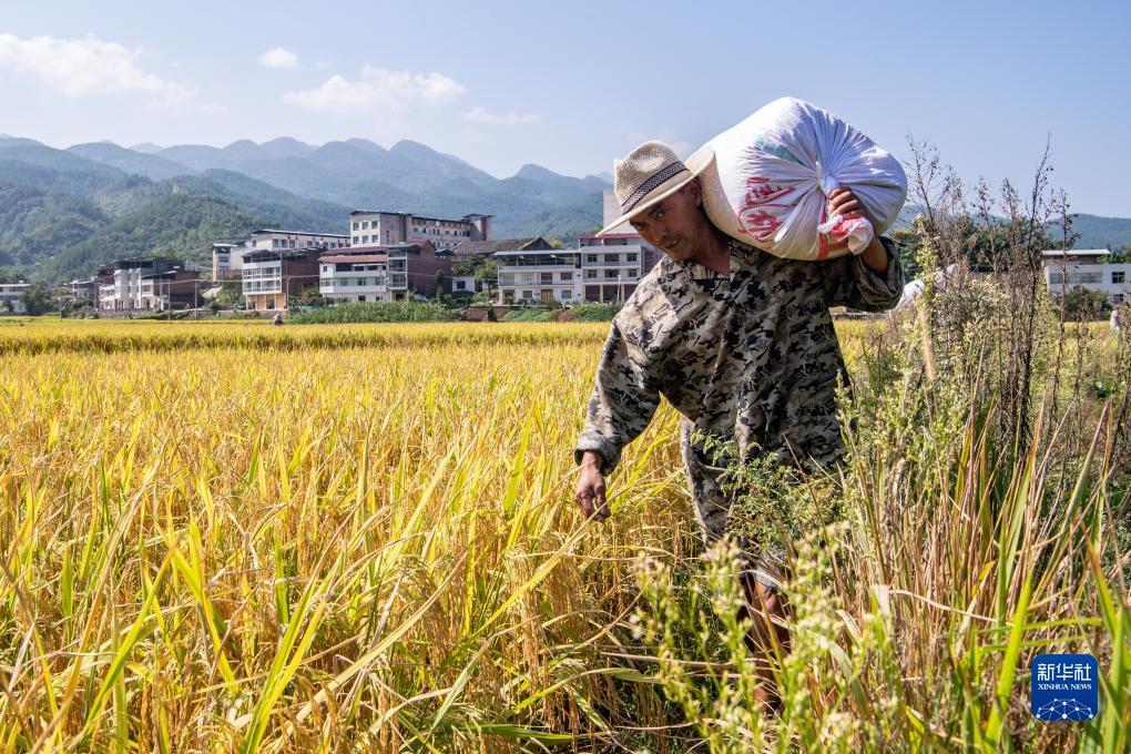 华人菠菜论坛